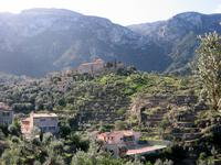 Deia