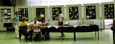 Schauklöppeln mit slowenische Lehreinnen und Spitzenausstellung