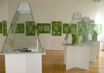 Ausstellung «Schau her, was ich kann!»